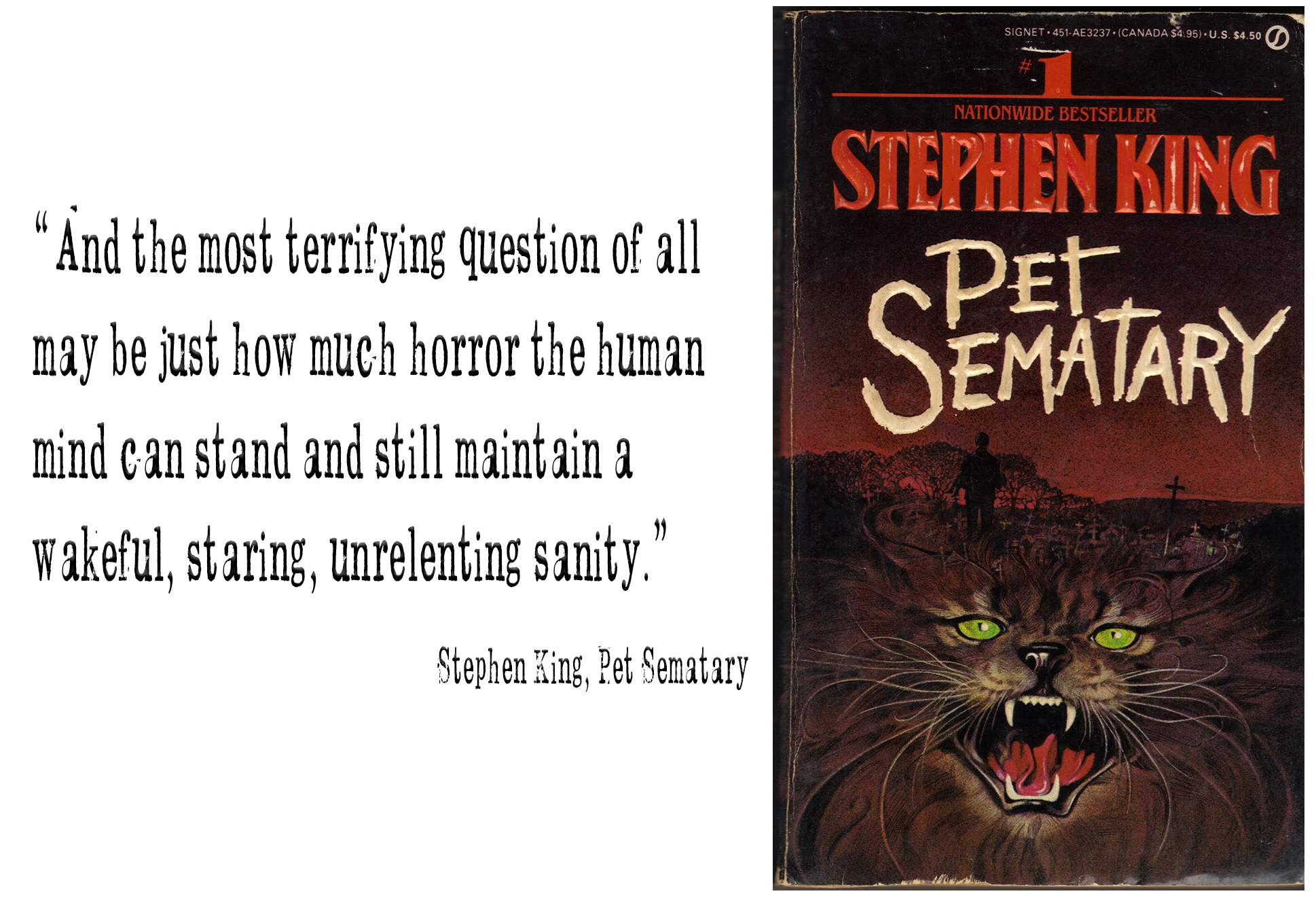 Pet Sematary Book Review | Horror Book Reviews | Reelybored Book Reviews